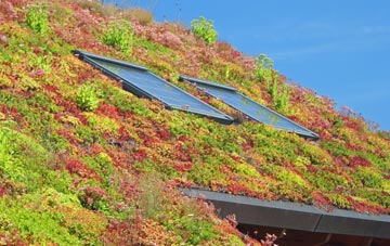 Edderton living roof systems