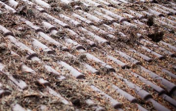 Edderton roof cleaning companies