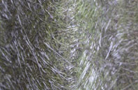 Edderton fibreglass roof work